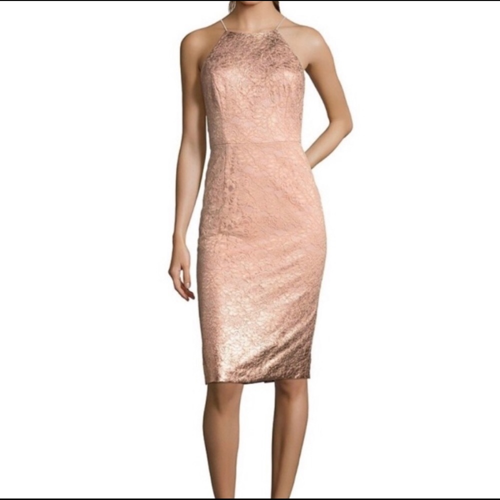 Adrianna papell rose gold lace sheath dress